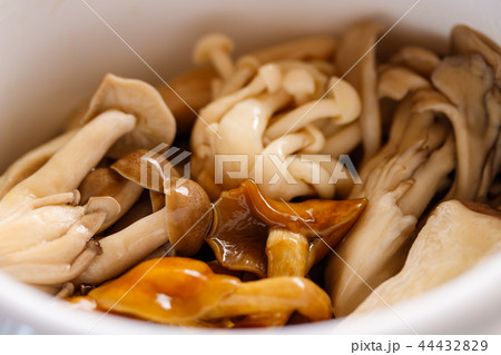 塩きのこ 44432829