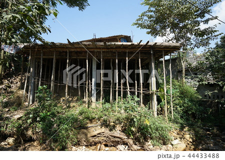 Landscape - Sapa (Vietnam) Landscape - Sapa (Vietnam) 44433488