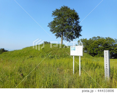 平井地区1号古墳 平井地区1号古墳 44433806