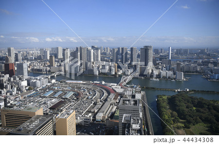 日本の東京都市景観  築地市場・83年の歴史に幕、6日営業終了。右奥は、豊洲市場など＝10月6日撮影 44434308
