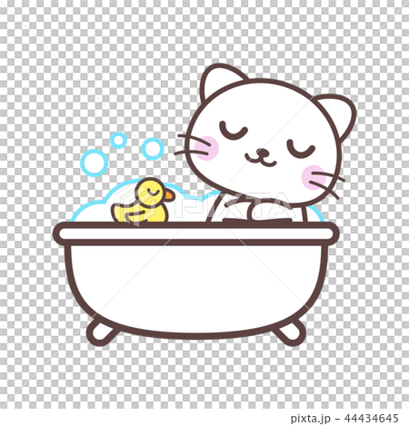 入浴中のネコ 44434645