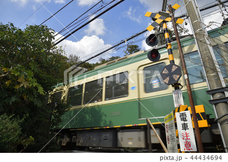 江ノ電と神社前の踏切 【神奈川県鎌倉市】 夏 44434694