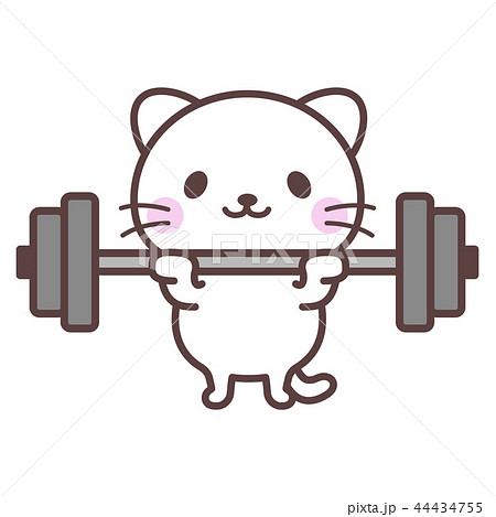 Cat Training At The Gym Stock Illustration