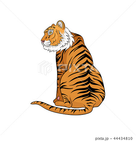 Vector Illustration Of Sitting Bengal Tiger のイラスト素材