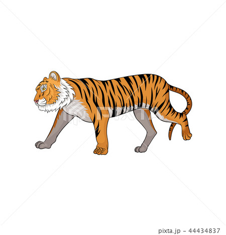 Vector illustration of running tiger, side view. Animal with orange fur and black stripes. Large Vector illustration of running tiger, side view. Animal with orange fur and black stripes. Large 44434837