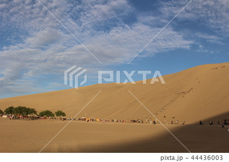 鳴沙山の砂漠　シルクロード　敦煌　中国　 44436003