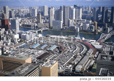 日本の東京都市景観  築地市場・83年の歴史に幕、６日「日本の台所」営業終了＝10月6日撮影 44436039