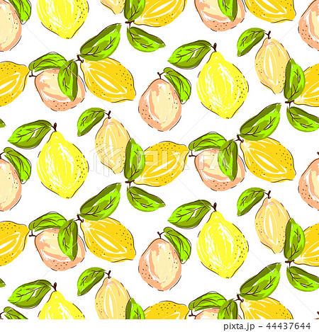 Seamless Citrus Pattern Hand Drawn Sketched のイラスト素材