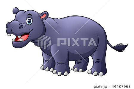 Cute hippo cartoon 44437963