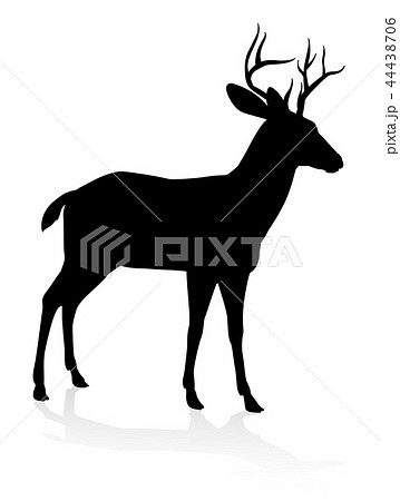 Deer Animal Silhouette 44438706