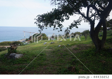 自然 木 風景 44438852