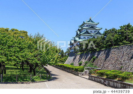 新緑に包まれた名古屋城 44439739