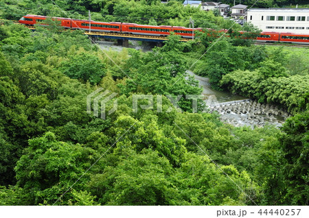 ロマンスカー ロマンスカー 44440257