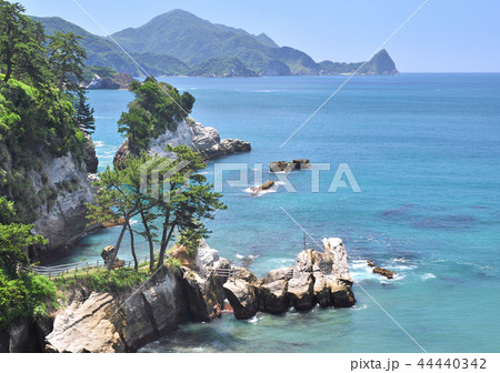 西伊豆堂ヶ島-18592 西伊豆堂ヶ島-18592 44440342