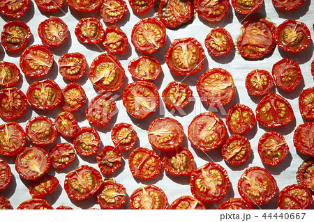 ドライトマト ドライトマト 44440667