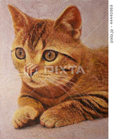 猫の絵 44440969