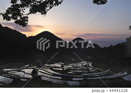 【静岡県】石部の棚田（石部棚田） 44441226