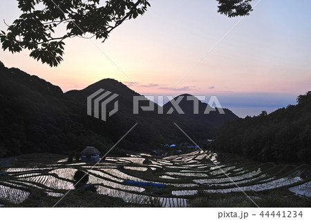 【静岡県】石部の棚田（石部棚田） 44441234