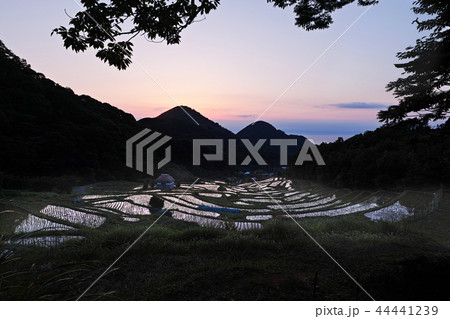 【静岡県】石部の棚田(石部棚田) 【静岡県】石部の棚田(石部棚田) 44441239