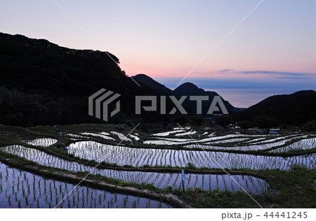 【静岡県】石部の棚田(石部棚田) 【静岡県】石部の棚田(石部棚田) 44441245