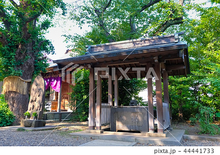 筑土八幡神社 手水舎 筑土八幡神社 手水舎 44441733
