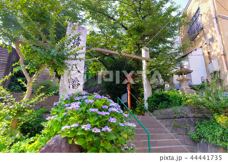 筑土八幡神社 44441735