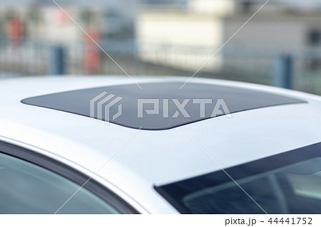 高級車　整備　セールスマン　メカニック　テクニシャン　メンテナンス　女性　男性　名車　デマンド　ビジ 44441752