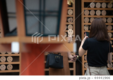 京都市左京区下鴨神社社河合神社の境内を撮影したもの 京都市左京区下鴨神社社河合神社の境内を撮影したもの 44441966