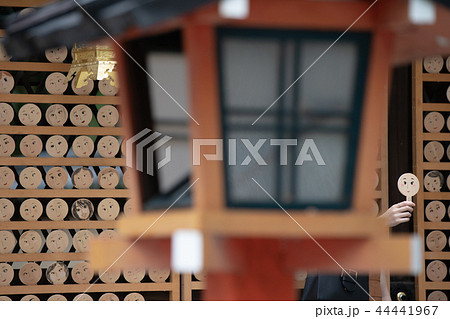 京都市左京区下鴨神社社河合神社の境内を撮影したもの 44441967