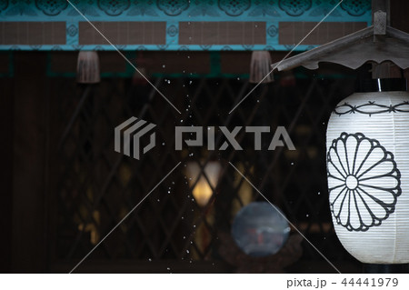 京都市左京区下鴨神社社河合神社の境内を撮影したもの 京都市左京区下鴨神社社河合神社の境内を撮影したもの 44441979