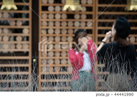 京都市左京区下鴨神社社河合神社の境内を撮影したもの 44441990