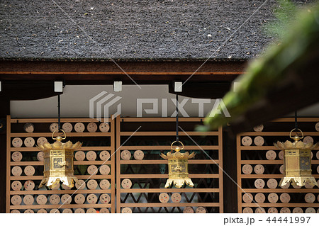 京都市左京区下鴨神社社河合神社の境内を撮影したもの 44441997