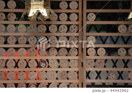 京都市左京区下鴨神社社河合神社の境内を撮影したもの 44442002