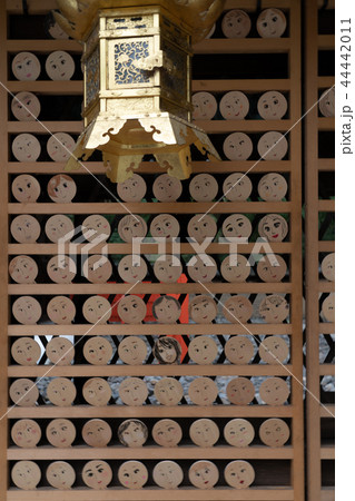 京都市左京区下鴨神社社河合神社の境内を撮影したもの 44442011