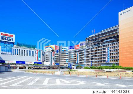 東京　新宿駅　西口　駅前風景 44442088