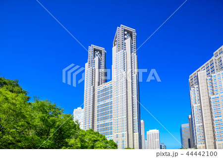 東京都庁周辺の風景 44442100
