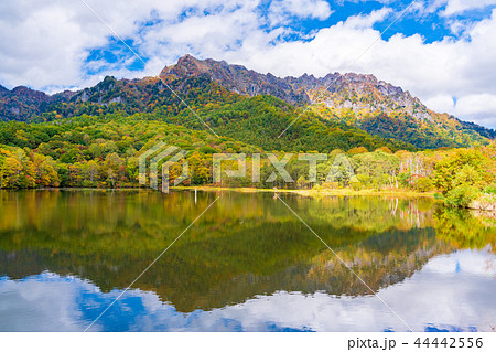 長野県 戸隠高原 鏡池の紅葉の写真素材