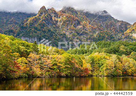 【長野県】戸隠高原　鏡池の紅葉 44442559