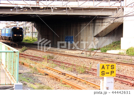 南武線浜川崎駅付近を通過する貨物列車 南武線浜川崎駅付近を通過する貨物列車 44442631