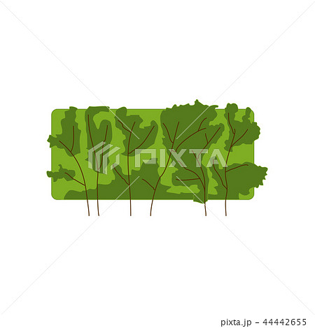 Green herbal plant isolated on white. Bush with brown branches, app game UI or web element icon 44442655