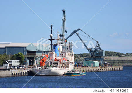 有明西ふ頭に停泊する学術研究船「白鳳丸」 有明西ふ頭に停泊する学術研究船「白鳳丸」 44443065