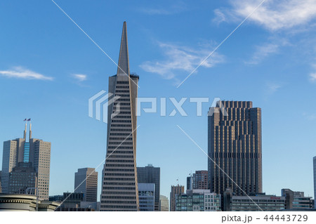 Downtown San Francisco Downtown San Francisco 44443729