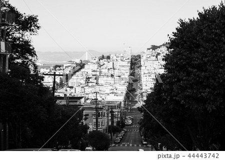 Lombard Street in San Francisco 44443742