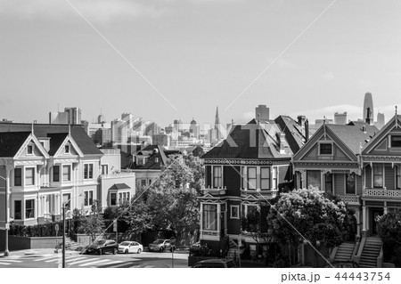 Painted ladies in San Francisco 44443754