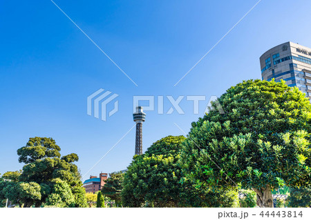 秋晴れの横浜 山下公園の都市風景 秋晴れの横浜 山下公園の都市風景 44443814