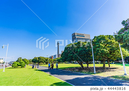 秋晴れの横浜 山下公園の都市風景 44443816