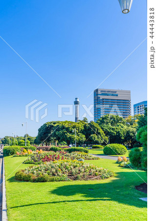 秋晴れの横浜 山下公園の都市風景 秋晴れの横浜 山下公園の都市風景 44443818
