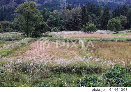 山間の耕作放棄地 44444093