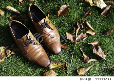 茶色のビジネスシューズ 44444233