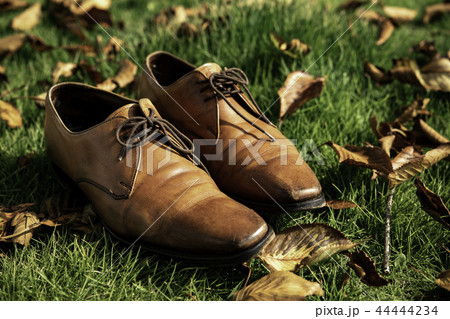 茶色のビジネスシューズ 44444234